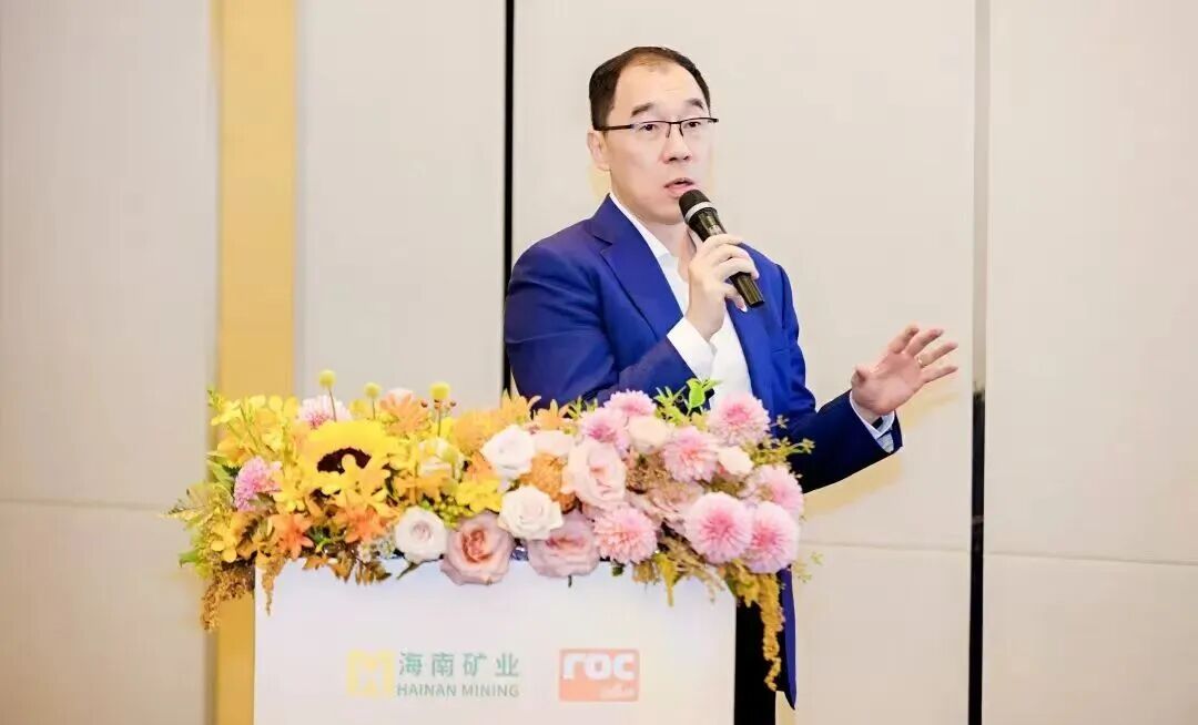 海南矿业董事长滕磊：借自贸港政策打通跨境资金链 构建“海外资源+海南加工”模式